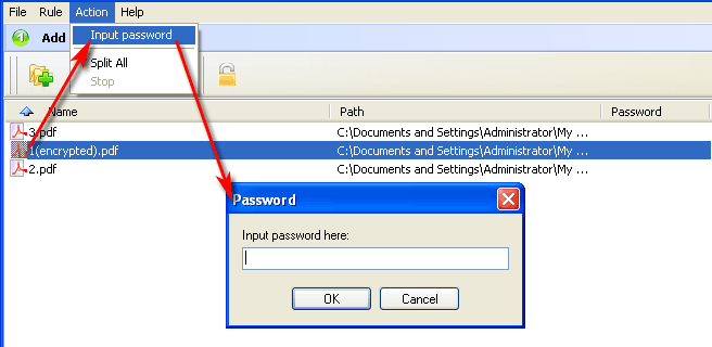 a-pdf content splitter input password